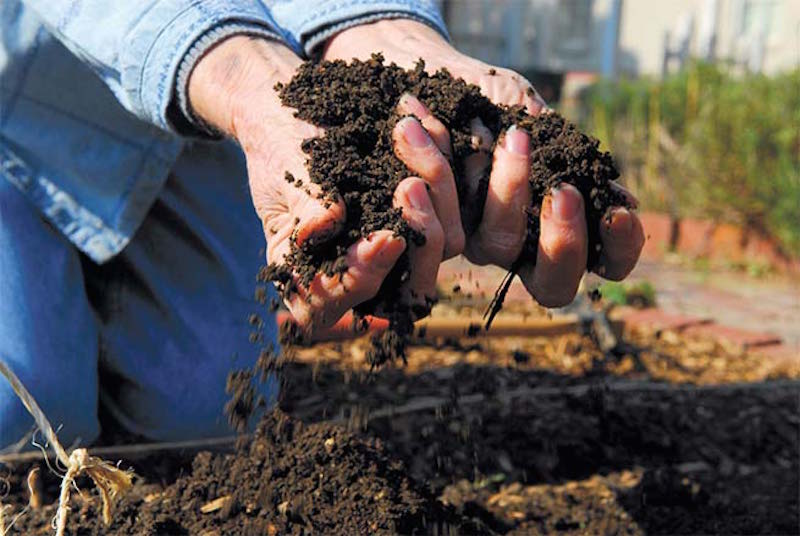 Planting soil