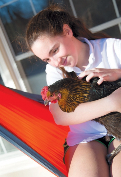 Girl with backyard chicken from Grogg’s Green Barn